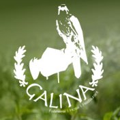 www.galina.li, Falknerei Galina, 9497 Triesenberg