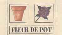 Fleur de Pot ,  1926 Fully