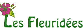 Fleurides ,  1820 Montreux, Dcoration, cration
et art floral 