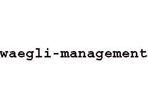 www.waegli-management.ch  Wgli R. &amp; Cie AG, 8001Zrich.