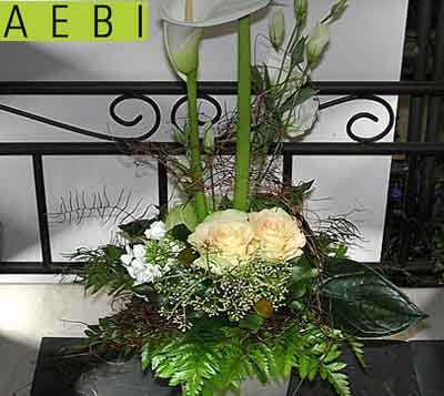 Aebi's Blumenparadies GmbH, 4950 Huttwil.