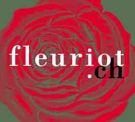 Fleuriot Fleurs,1204 Genve 