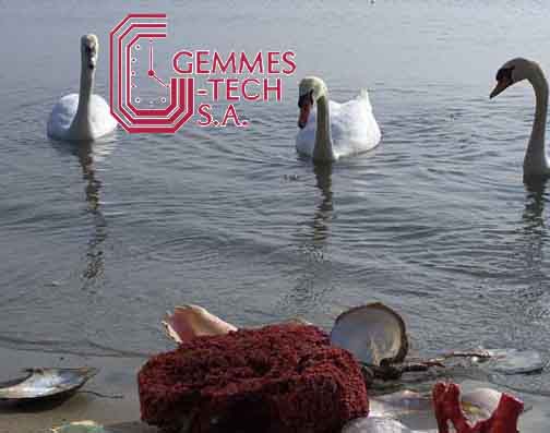www.gemmes-tech.ch,                         
Gemmes-Tech SA ,     1007 Lausanne   