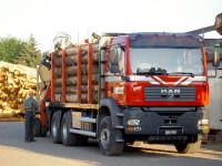 LKW bei Sägewerk