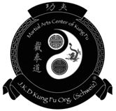 KUNG FU und WING CHUN in der Nähe von Zürich, Schweiz zu kostengünstigen Preisen vom Meister Sifu 
Salvi Vallone erlernen!