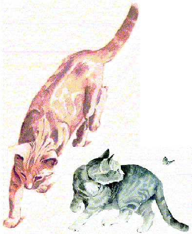 Animal Care, Tierbetreuung Schweiz