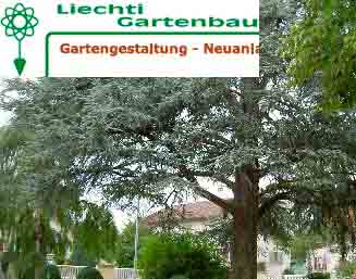 www.liechti-gartenbau.ch  Liechti Martin, 3206
Rizenbach.