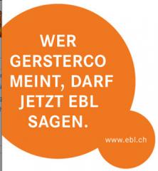 www.gersterco.ch  :  GersterCo Aktiengesellschaft                                            4242 
Laufen