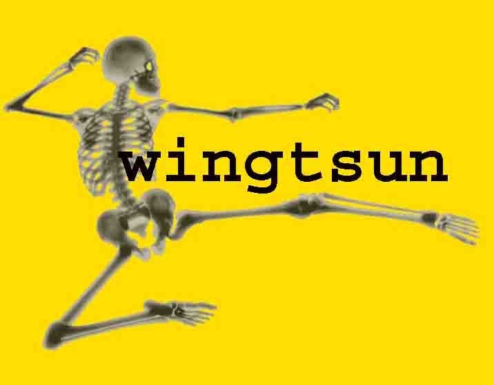 www.wingtsun.ch  WingTsun Schule, 8302 Kloten.