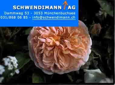 www.schwendimann.ch           Schwendimann AG,
3053 Mnchenbuchsee.