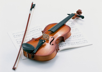 violinen,geigen,unterricht,zürich,violin,lesson