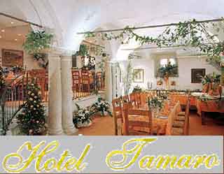 ALBERGO HOTEL TAMARO,   6612 Ascona, Banchetti