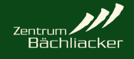 www.baechliacker.ch