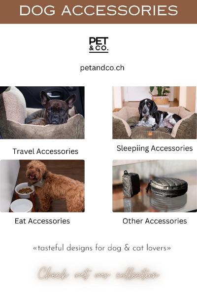 Luxury Dog Accessories Online in Switzerland - Pet and Co.