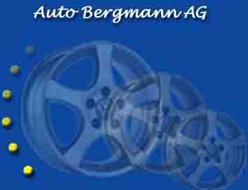 Auto Bergmann AG: 3178 Bsingen