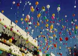 Luftballon-Shop Zofingen