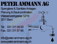 www.peter-ammann-ag.ch: Ammann Peter AG             3011 Bern
