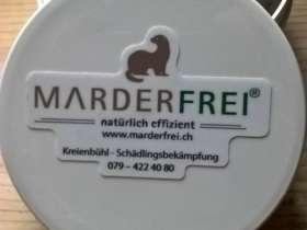 Marderbekmpfung - Marderabwehr - Marderschutz. Thurgau, St. Gallen, Appenzell, Liechtenstein.